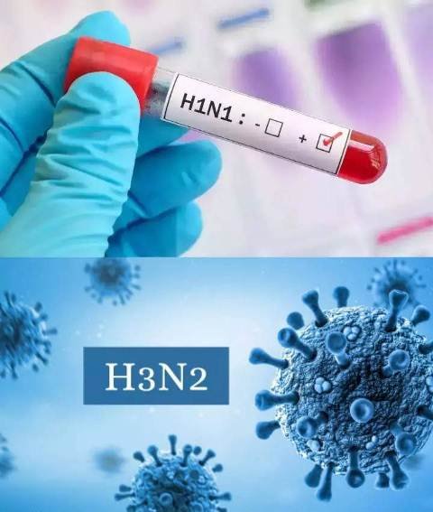 H3N2 ସଂକ୍ରମଣ ଭୟ : ପୁଡୁଚେରୀରେ ସ୍କୁଲ ବନ୍ଦ ନିର୍ଦ୍ଦେଶ