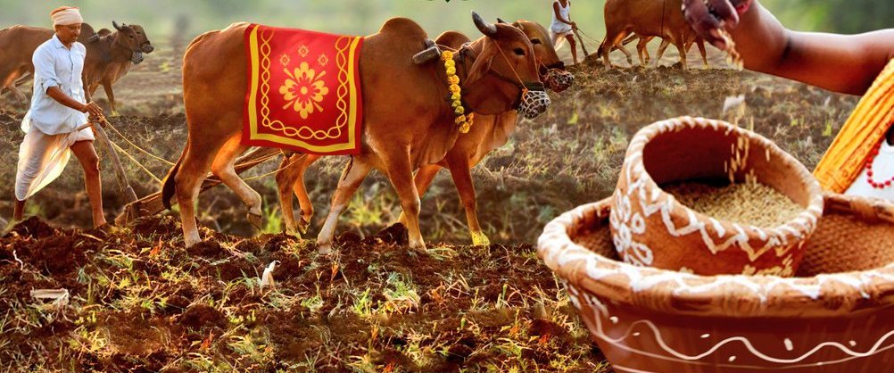 ଆଜି ଦିନରେ ଅଖିମୁଠି ଅନୁକୂଳ କରି କୃଷି କାର୍ୟ୍ୟ ଶୁଭାରମ୍ଭ କରିଥାଏ ଚାଷୀ