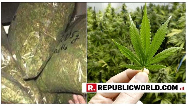 ୩୨୭ କିଲୋ ୬୦୦ ଗ୍ରାମ ଗଂଜେଇ ଜବତ