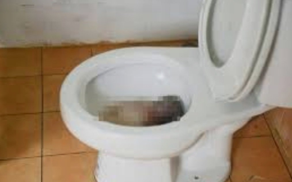 ଶୌଚ ପାଇଁ ଯାଇଥିଲେ, ପାଇଖାନାରେ ଜନ୍ମ ହେଲା ଶିଶୁକନ୍ୟା