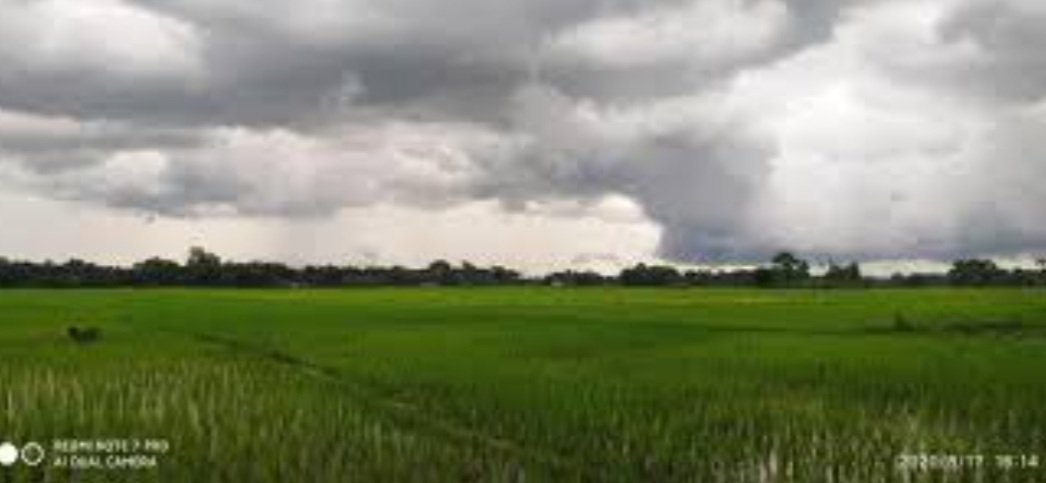  ଆଜି ଓଡ଼ିଶାରେ ପ୍ରବେଶ କରିବ ଦକ୍ଷିଣ ପଶ୍ଚିମ ମୌସୁମୀ ବାୟୁ 