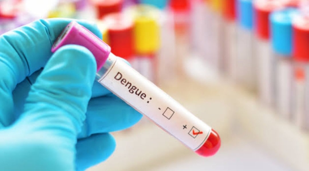 ୧୬ ଜିଲ୍ଲାରୁ ୧୮୫ ଜଣ ଡେଙ୍ଗୁ ପଜିଟିଭ ଚିହ୍ନଟ
