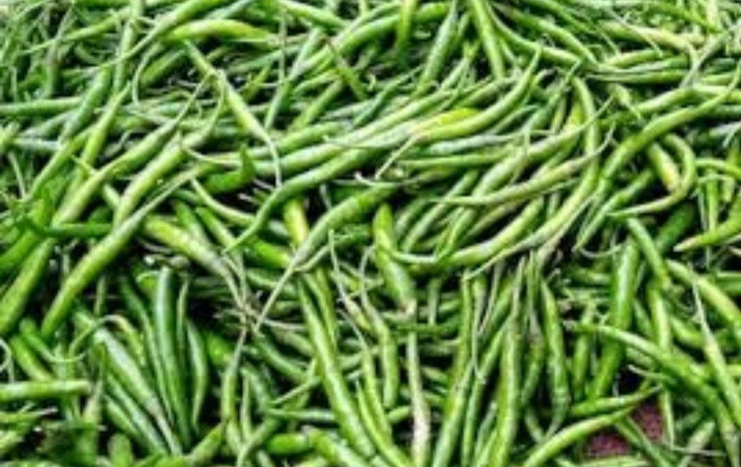 କଞ୍ଚା ଲଙ୍କା ଦେଖିବା ସ୍ବପ୍ନ, କେଜିକୁ ୪୦୦ ଟଙ୍କା