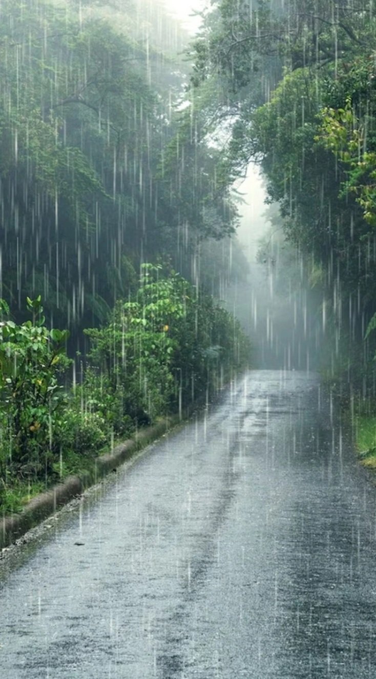 ପ୍ରବଳ ବର୍ଷା: ୧୪ ଜିଲ୍ଲାକୁ ୟେଲୋ ଓ୍ବାର୍ଣ୍ଣିଂ ଜାରି 