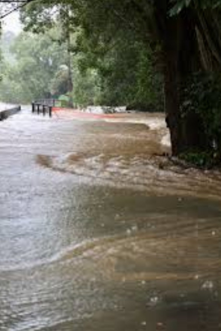 ମାଛ ଗାଁ କେନାଲ ବନ୍ଧ ଭୁଶୁଡ଼ି ମୁଖ୍ୟ ରାସ୍ତାରେ ଚାଲିଛି ପାଣି