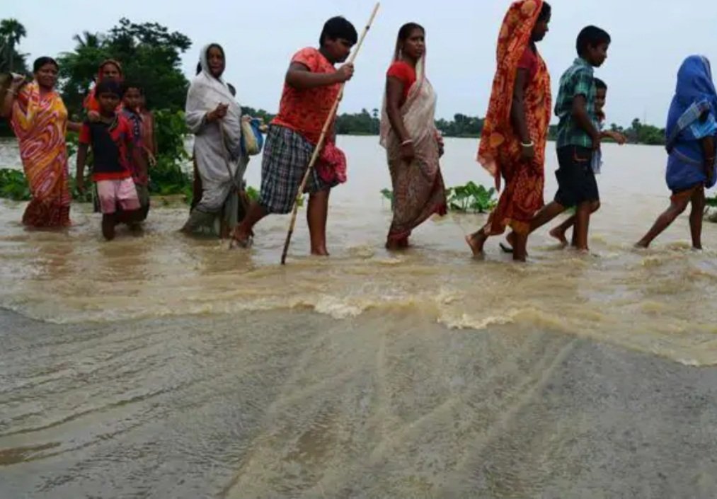 ନୂଆ ଗାଁ ଡ୍ରେନେଜ କେନାଲରେ ୩୦ ଫୁଟର ଘାଇ