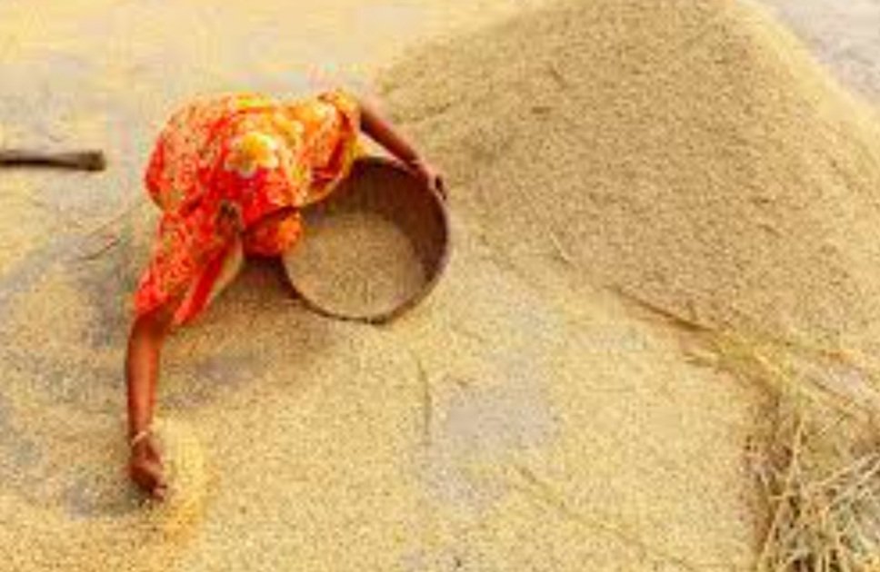 ଅଗଷ୍ଟ ୨୨ ଯାଏ ବୃଦ୍ଧି ହେଲା ଖରିଫ ଧାନକିଣା ପାଇଁ ଚାଷୀ ପଞ୍ଜିକରଣ ଅବଧି