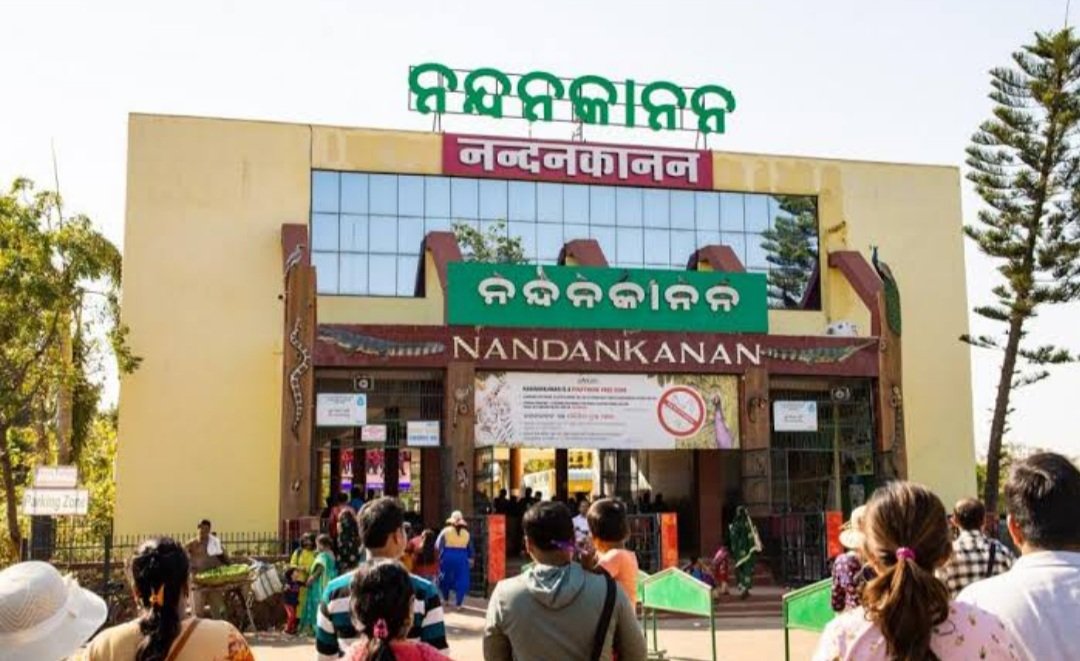 ଖୁବ୍ଶୀଘ୍ର ରାତିରେ ନନ୍ଦନକାନନ ବୁଲିବାର ମଜା ଉଠାଇବେ ପର୍ୟ୍ୟଟକ