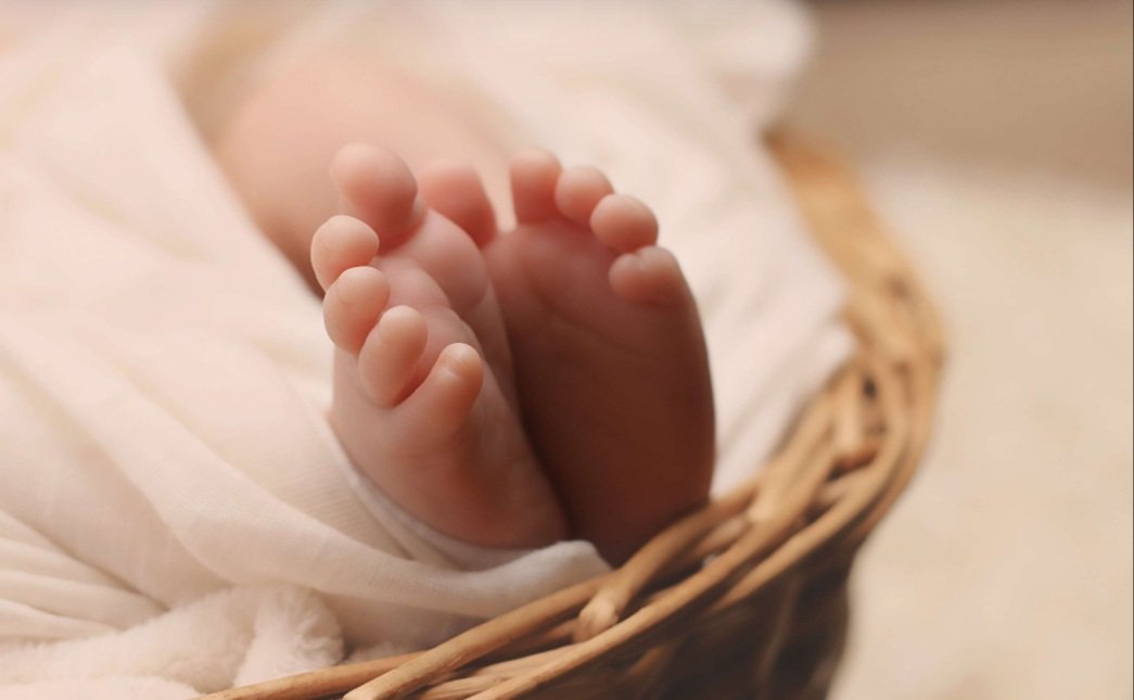 ବୁଦା ମୂଳରୁ ଶିଶୁ କନ୍ୟା ଉଦ୍ଧାର 