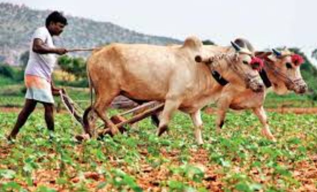  ବର୍ଷକୁ ୬ ହଜାର ପରିବର୍ତ୍ତେ ଚାଷୀଙ୍କୁ ମିଳିବ ୮ ହଜାର ଟଙ୍କା 