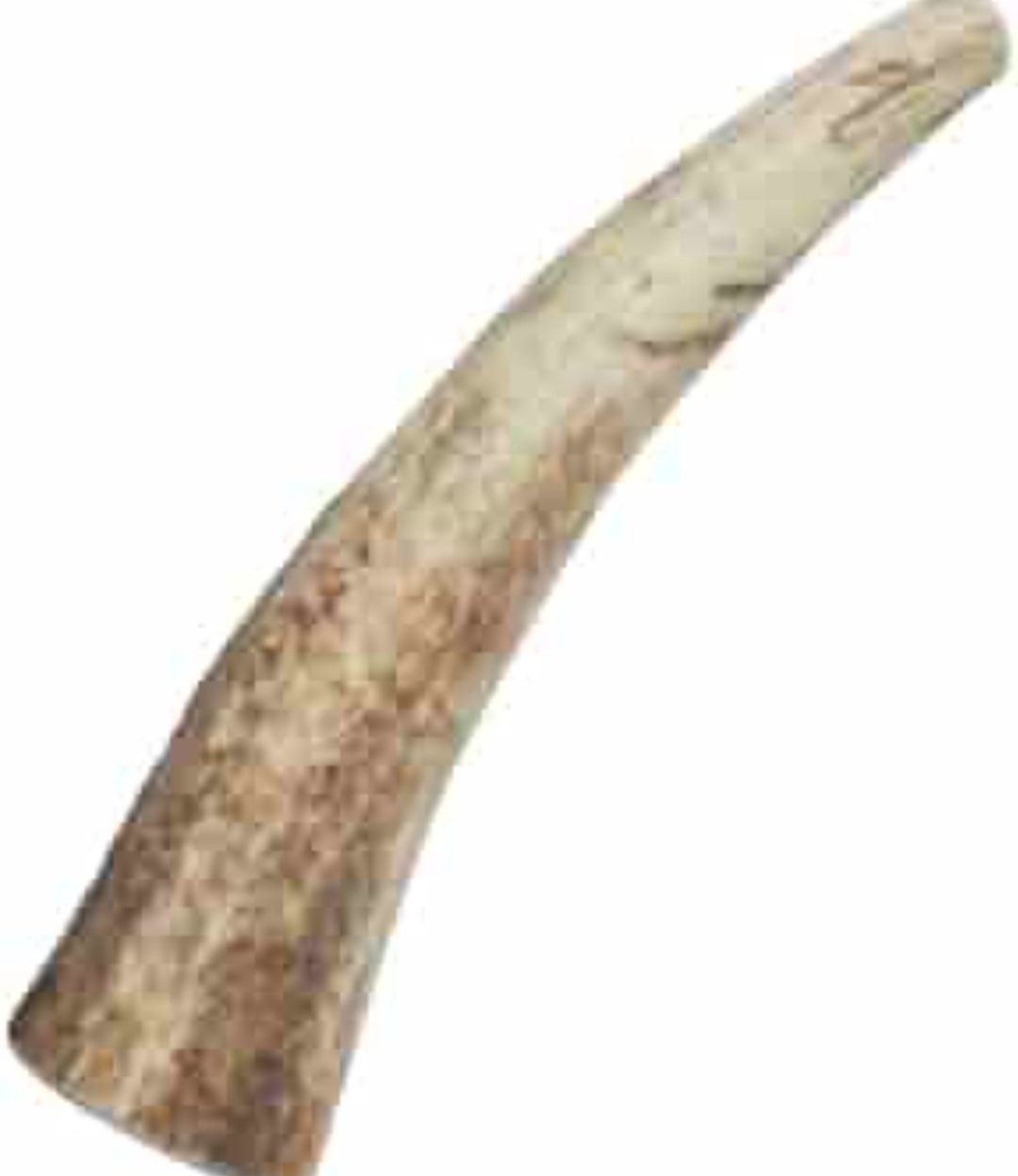 ହାତୀଦାନ୍ତ ଜବତ, ୩ ଗିରଫ