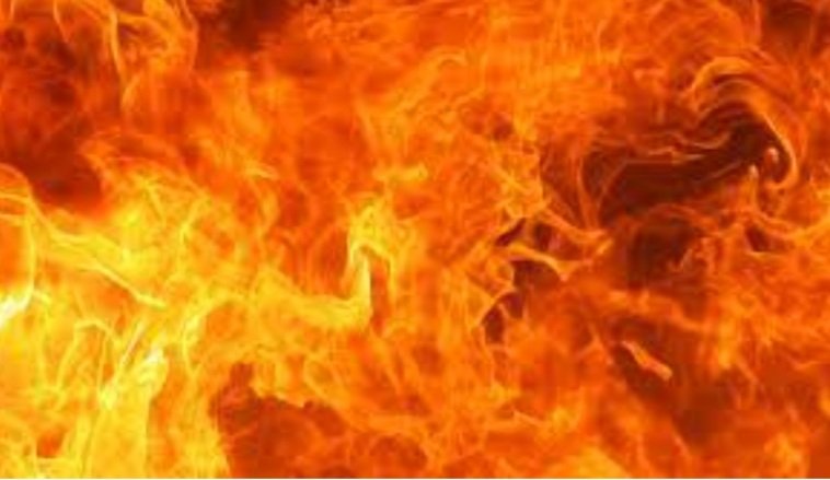 ରିଲିଫ ସାମଗ୍ରୀକୁ ଜାଳିଦେଲେ