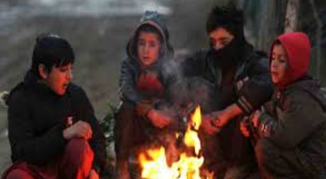 ଓଡ଼ିଶାରେ ବଢିବ ଜାଡ