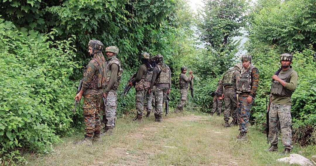 ନୀଳକୁମ୍ପା ଜଙ୍ଗଲରେ ଚାଲିଛି ସର୍ଚ୍ଚ ଅପରେସନ