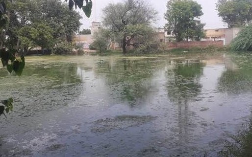 ପୋଖରୀରେ ମଣିଷ କଙ୍କାଳ