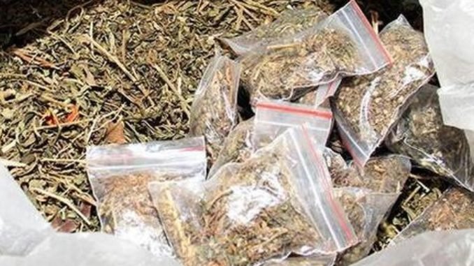 ୧୦୪ କେଜି ଗଞ୍ଜେଇ ସହ ବୋଲରୋ ଜବତ