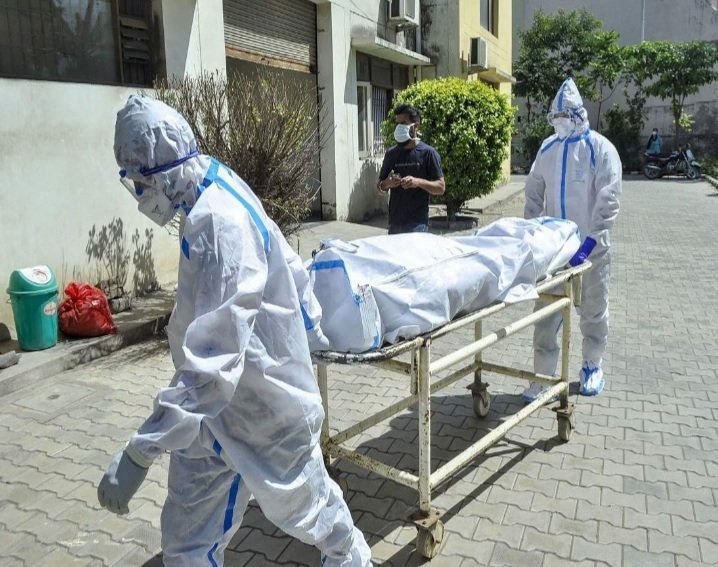 କରୋନା ନେଲା ୪୩ ଜୀବନ