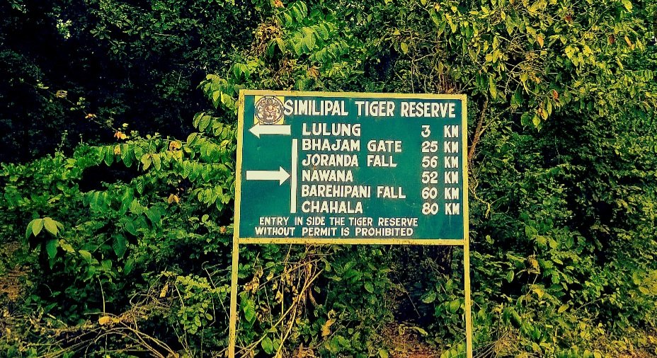  ଲଗାଣ ବର୍ଷା ଜାରି: ଶିମିଳିପାଳ ଅଭୟାରଣ୍ୟ ବନ୍ଦ