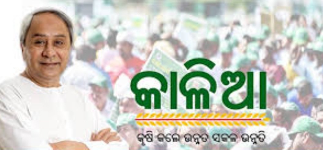 ଆଜି ଚାଷୀମାନଙ୍କୁ ମିଳିବ କାଳିଆ ସହାୟତା ଅର୍ଥ