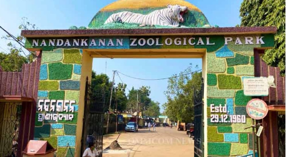 ଏଣିକି ରାତିରେ ବି ନନ୍ଦନକାନନ ବୁଲିବାର ମଜା ନେଇ ପାରିବେ ପର୍ୟ୍ୟଟକ