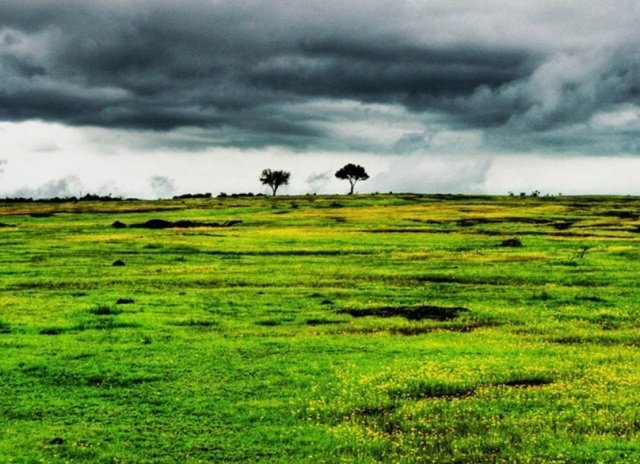 ଏବର୍ଷ ସ୍ୱାଭାବିକ ରହିବ ମୌସୁମୀ : ସ୍କାଏମେଟ୍ 