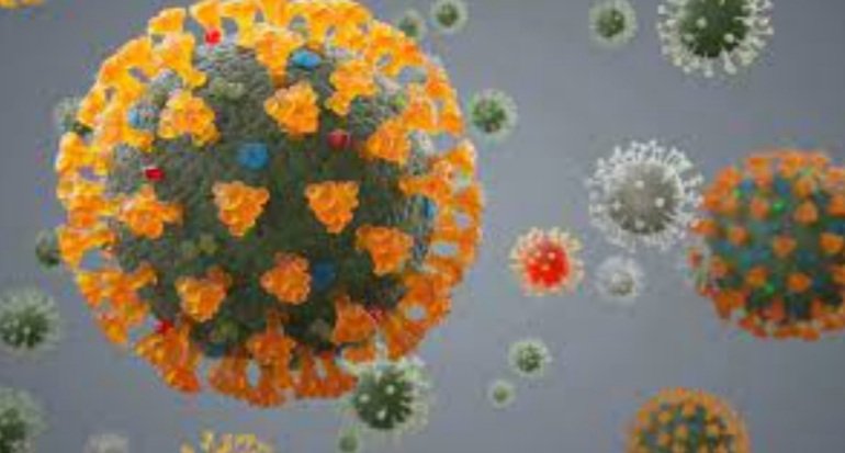 ୬ଟି ଡେଲଟା ପ୍ଲସ କେସ ଚିହ୍ନଟ