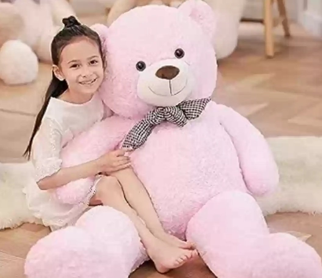 ଶିଶୁ ପାଇଁ ରୋଗର କାରଣ ହୋଇପାରେ ଟେଡି ବିୟର୍