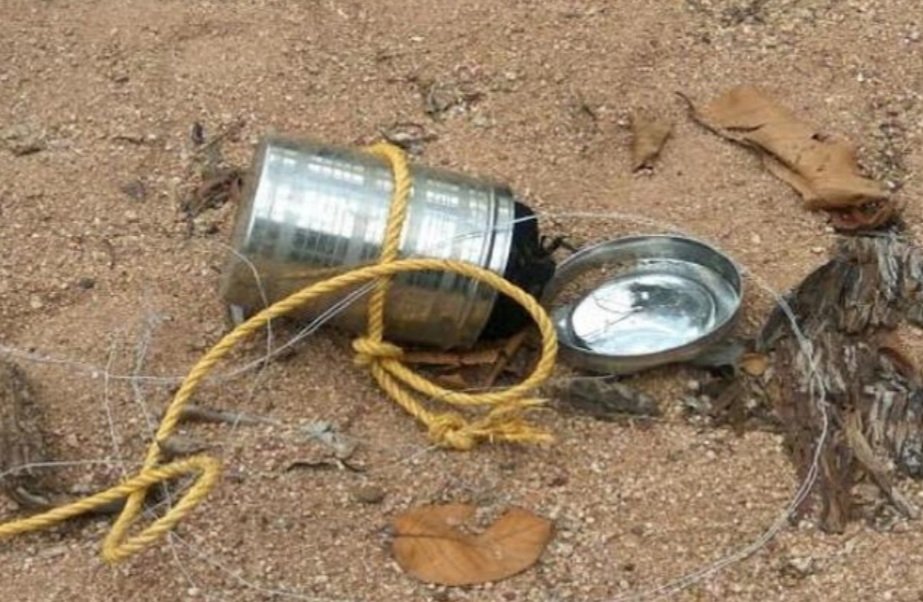 ୨ଟି ଟିଫିନ ବୋମା ଉଦ୍ଧାର