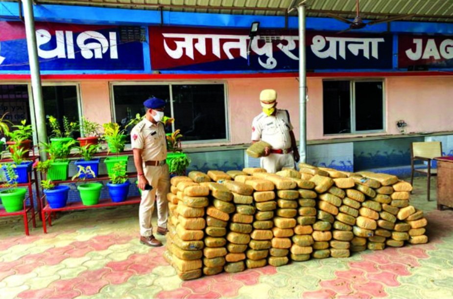 ୫୬୦ କିଲୋ ଗଞ୍ଜେଇ ଜବତ