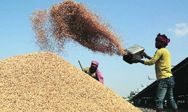 ୧୪ ଖରିଫ ଫସଲର ଏମଏସପି ବଢିଲା : ଧାନ କ୍ୱିଣ୍ଟାଲ ପିଛା ୨୩ ଶହ ଟଙ୍କାରେ ବିକ୍ରି କରିବେ ଚାଷୀ