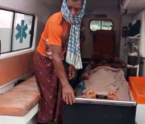 ଭାଲୁ ଆକ୍ରମଣରେ ୨ ଗୁରୁତର  