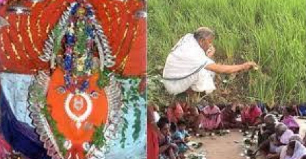 ନବାନ୍ନ ଲାଗି ପାଇଁ ବାହାରିଲା ନୂଆଖାଇଁ ଲଗ୍ନ