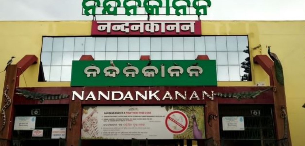 ନନ୍ଦନକାନନରେ ସିଂହ କ୍ରିଶର ମୃତ୍ୟୁ