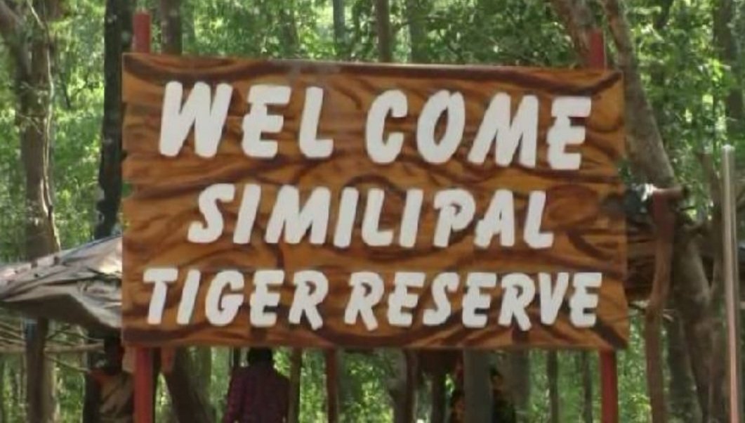  ୧୦ରୁ ଖୋଲିବ, ଦୁର୍ଗାପୂଜାରେ ଶିମିଳିପାଳ ଭ୍ରମଣ କରିପାରିବେ ପର୍ଯ୍ୟଟକ