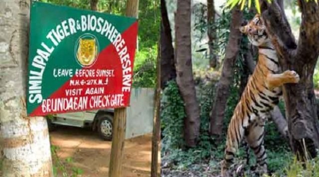 ବାତ୍ୟା ପାଇଁ ୩ ଦିନ ବନ୍ଦ ହେଲା ଶିମିଳିପାଳ