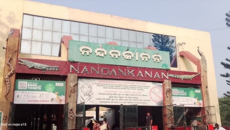 ନନ୍ଦନକାନନ ପ୍ରାଣୀଉଦ୍ୟାନକୁ ଜୀବଜନ୍ତୁ ଅଦଳବଦଳ ପ୍ରକ୍ରିୟା, ଆଜି ହାଇଦ୍ରାବାଦ ଯିବେ ୧୩ ଜନ୍ତୁ