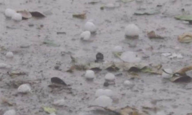 ଅଦିନିଆ କୁଆପଥର ବର୍ଷା : ଚିନ୍ତାରେ ଚାଷୀ