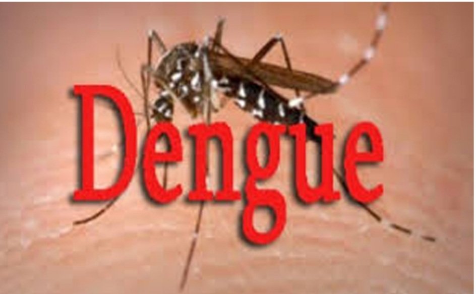 ରାଜଧାନୀରେ ଡେଙ୍ଗୁ ଚିନ୍ତା : ୬ ରୋଗୀ ଚିହ୍ନଟ