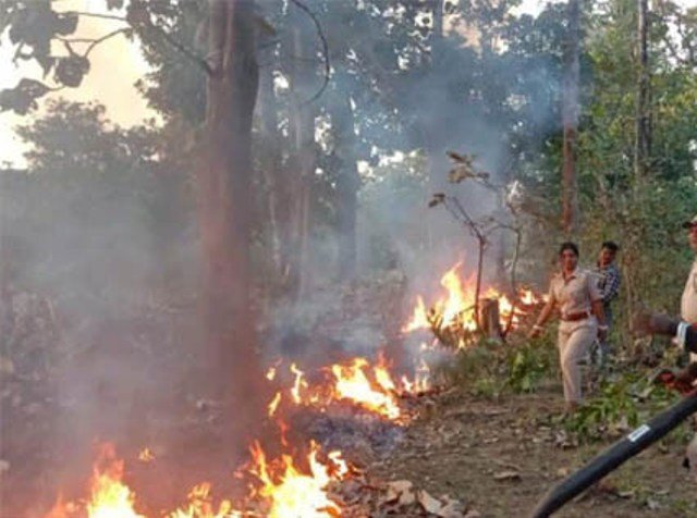 ଅନୁଗୁଳ ବନଖଣ୍ଡରେ ଅଣାୟତ୍ତ ନିଆଁ