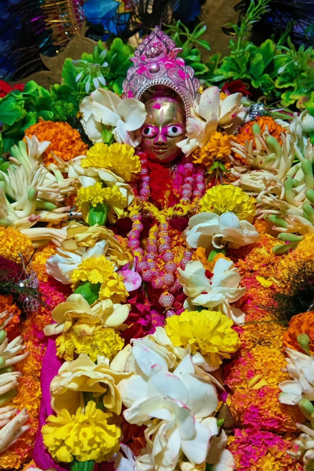 ଆଜି ପବିତ୍ର ଦୋଳ ପୂର୍ଣ୍ଣିମା