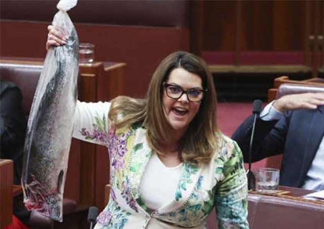 ସଂସଦରେ ପଚା ମାଛ