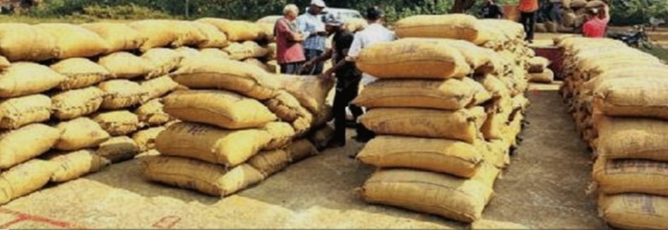  ମେ ୧ ରୁ ୨୦ଟି ଜିଲ୍ଲାରେ ଧାନ କିଣା ନେଇ ବ୍ୟାପକ ପ୍ରସ୍ତୁତି ଚୂଡ଼ାନ୍ତ 
