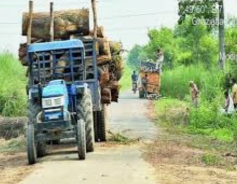 ୧୪ ଟି ଟ୍ରାକ୍ଟର ଭର୍ତ୍ତି କାଠ ଜବତ