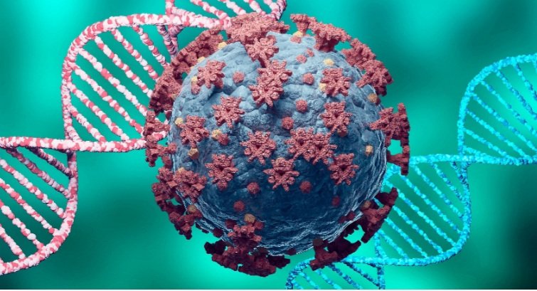 କୋଭିଡ-୧୯ ର ଆଉ ଏକ ପ୍ରଜାତି ଲାମ୍ବଡା ୩୦ଟି ଦେଶରେ ଠାବ