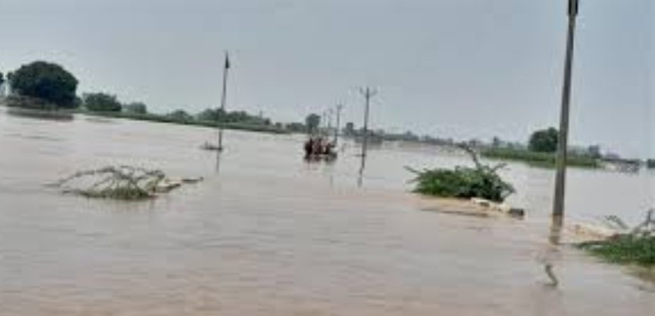 ବନ୍ୟାପାଣିରେ ବୁଡିଗଲା ଚାଷଜମି