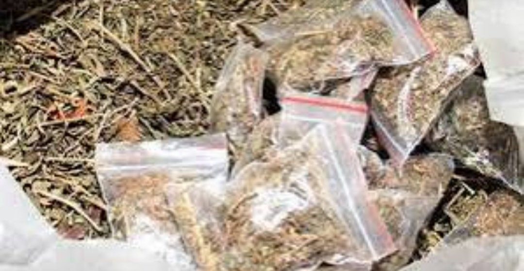 ଗଞ୍ଜେଇ ଜବତ, ୫ ଗିରଫ