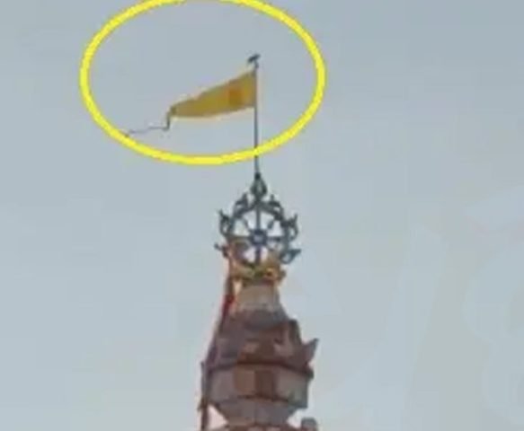 ପତିତପାବନ ବାନାରେ ବସିଲା ଚିଲ