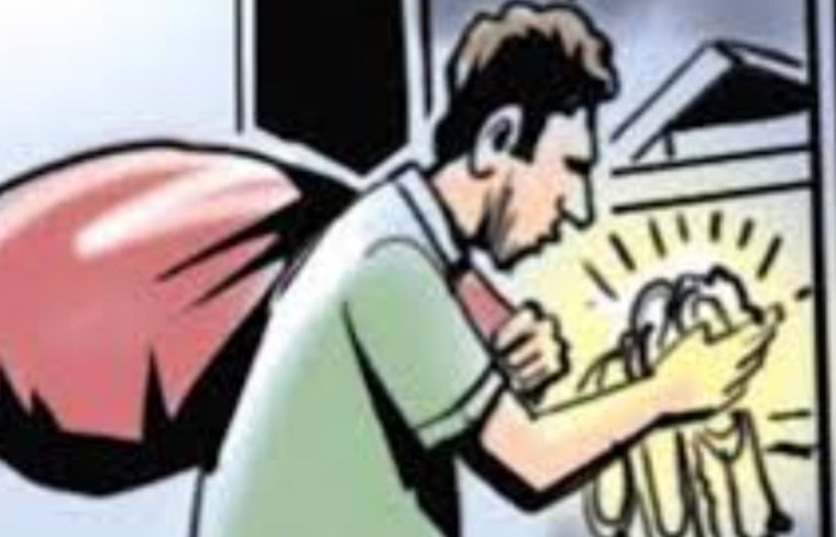 ବୃଦ୍ଧାଙ୍କ ଘରୁ ଲୁଟିନେଲେ ଦୁର୍ବୃତ୍ତ 