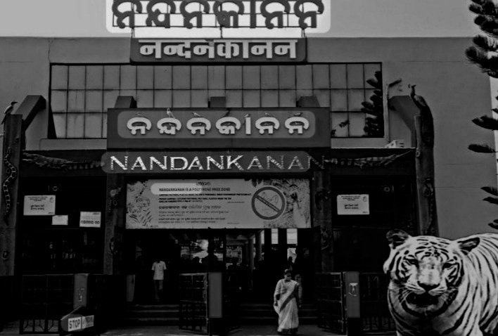 ପର୍ଯ୍ୟଟକଙ୍କ ପାଇଁଁ ବଦଳିଲା ସମୟ ନିର୍ଘଣ୍ଟ, ଜାଣନ୍ତୁ କାହିଁକି ?
