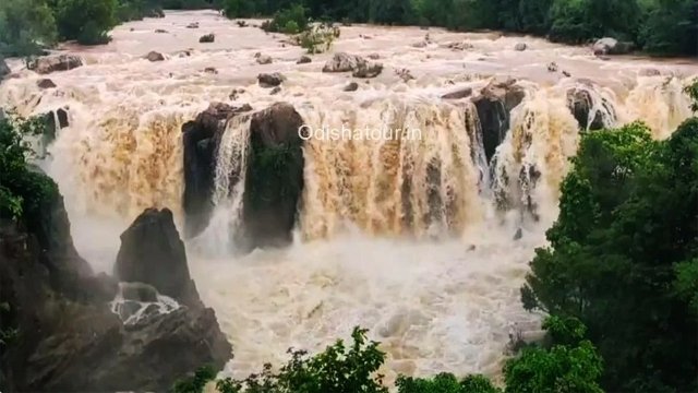 ଗୁଣ୍ଡିଚାଘାଗିରେ ରିଲ୍ସ କଲେ ଲାଗିବ ଜରିମାନା